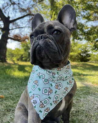 Pup Cup - Bandana