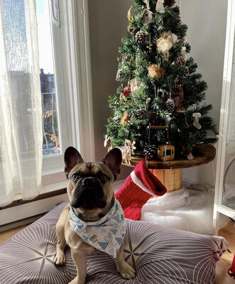 Christmas Yoda - Bandana