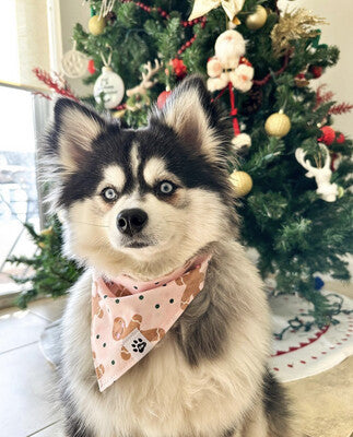 Gingerbread Pink - Bandana