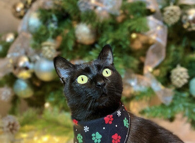 Christmas Paws - Bandana