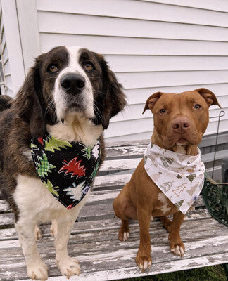 Christmas Tree Farm - Bandana