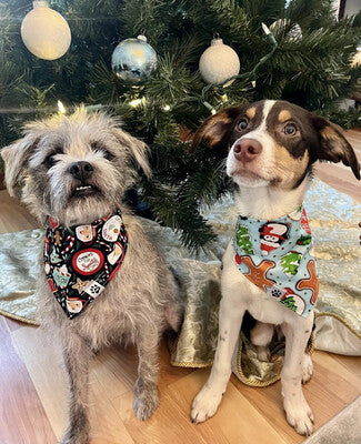 Santa Cookies - Bandana