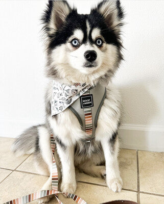 Christmas Camping - Bandana