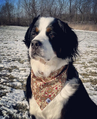 Gingerbread Glitter - Bandana
