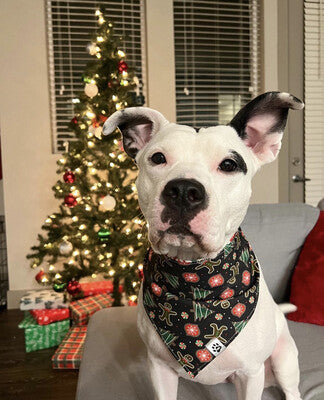 Gingerbread Cookies - Bandana