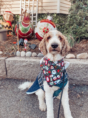 Santa Cookies - Bandana