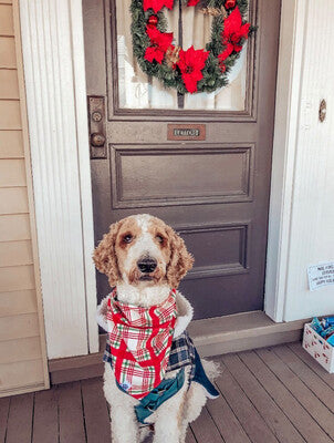 Santa Cookies - Bandana