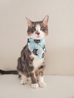 Pete The Cat - Bandana