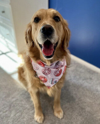 Valentines Coffee & Donuts - Bandana