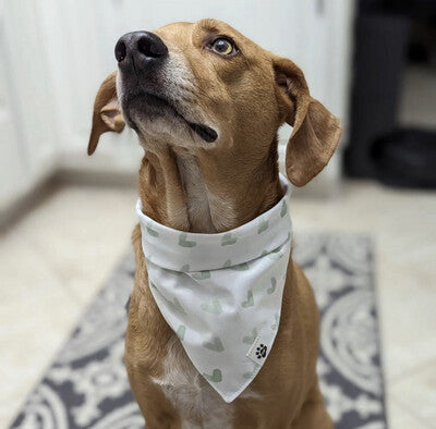 Green Hearts - Bandana