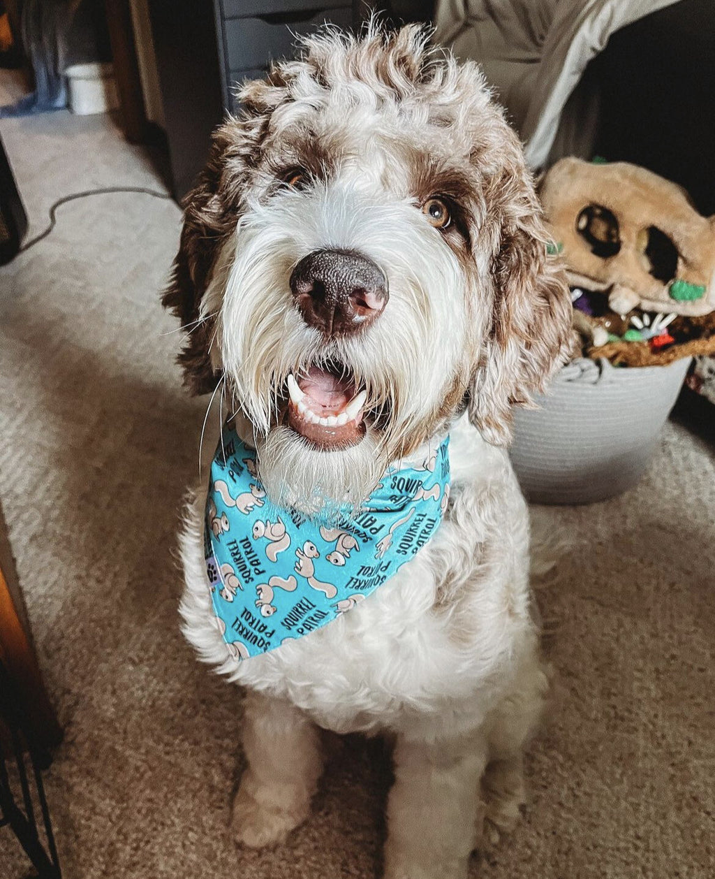 Squirrel Patrol - Bandana