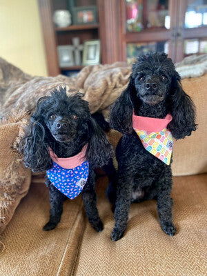 Bright Popsicles - Bandana | Reversible