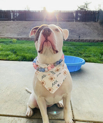 Boho Waves - Bandana