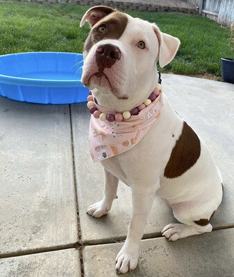 Summer Surfboards Boho - Bandana