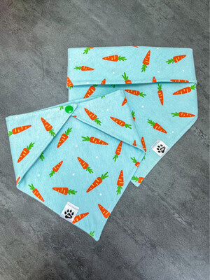 Carrots - Bandana