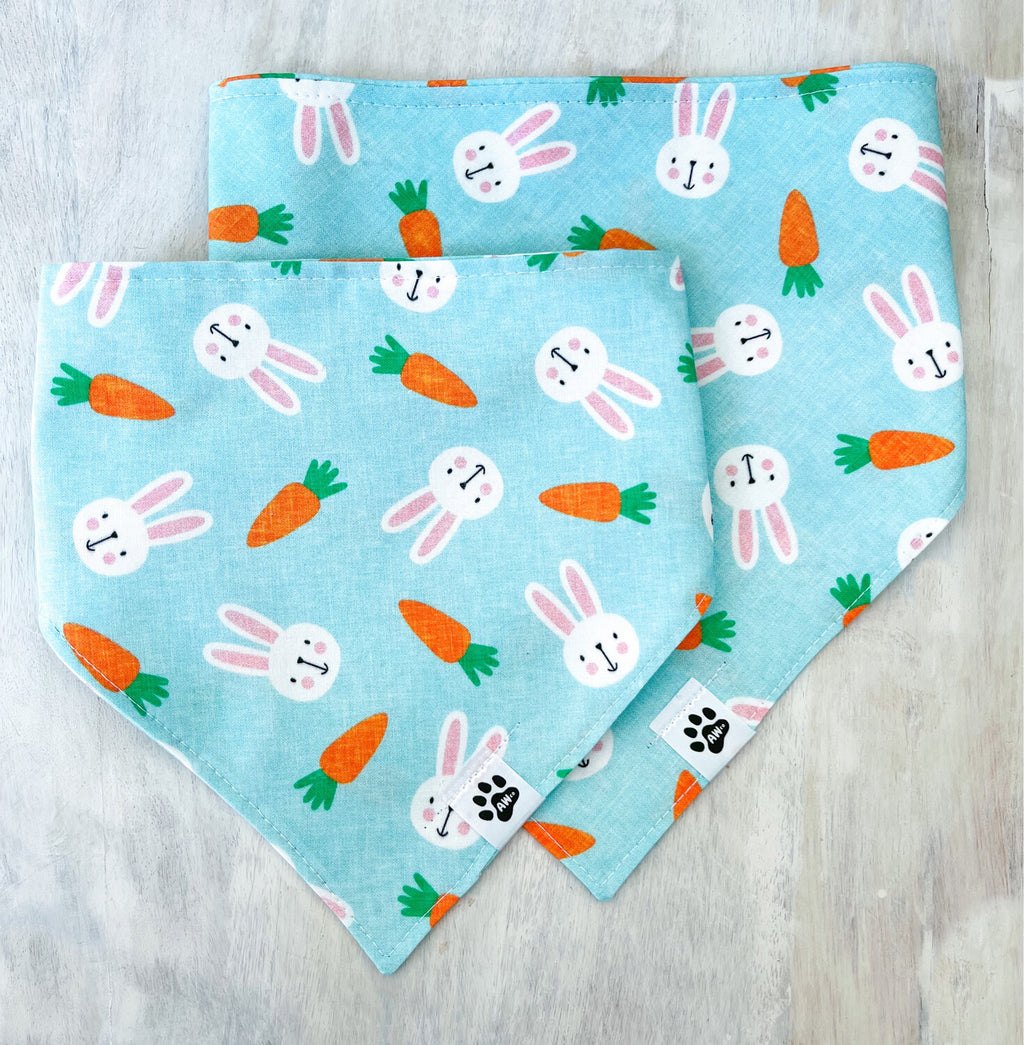 Bunnies & Carrots On Blue