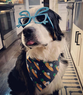 Space Bunnies Bandana