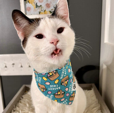 Basket Case Bandana