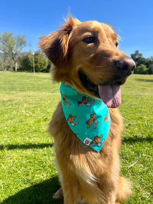 Racing Bunnies Bandana