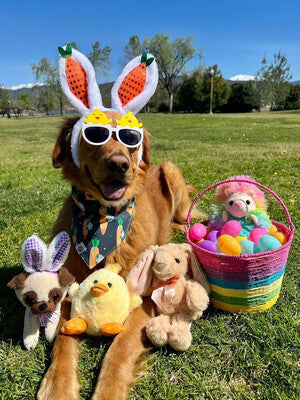 Space Bunnies Bandana