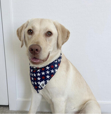 Patriotic Stars - Bandana