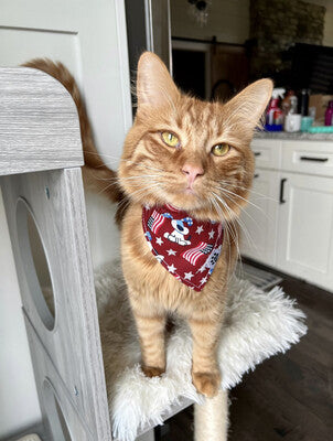Patriotic Puppies | Bandana