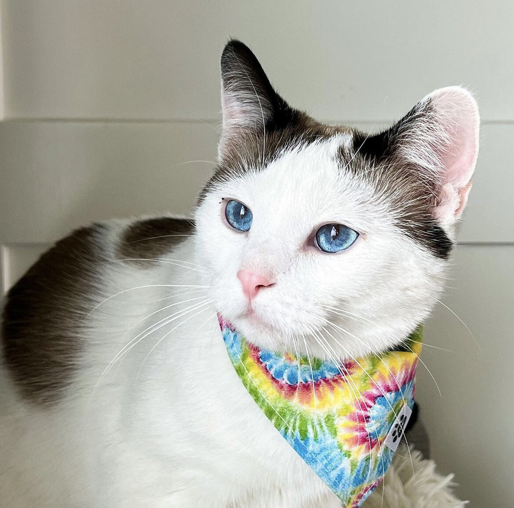 Tie Die Swirls - Bandana