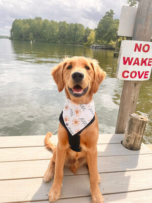 Boho Waves - Bandana