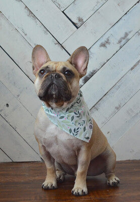 Blossom Dot - Bandana | Reversible
