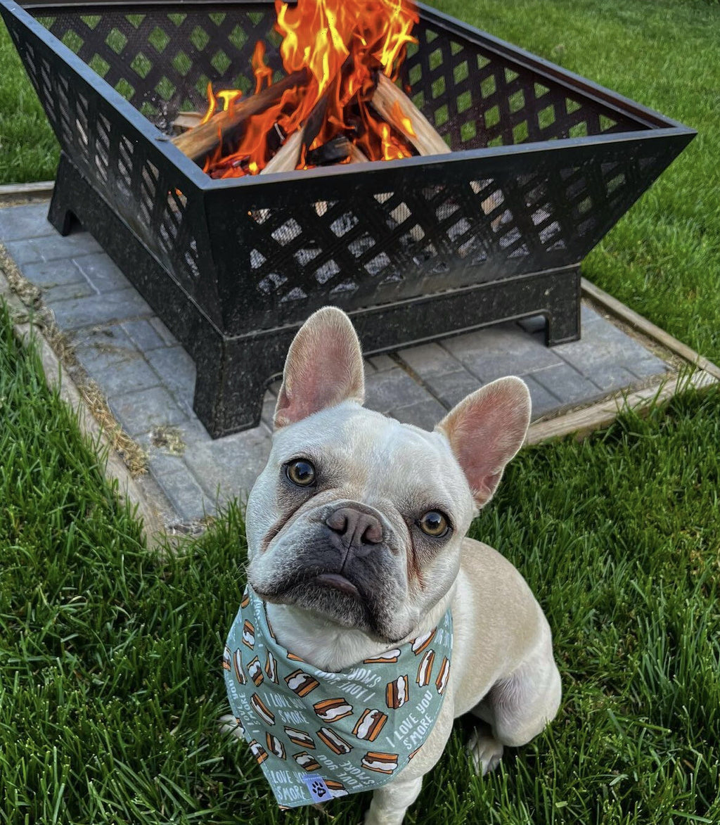 I Love You S’mores - bandana