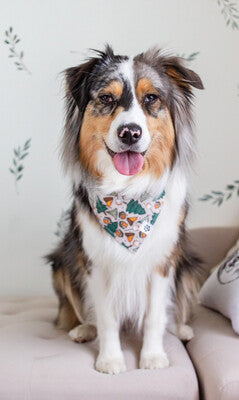 Camping - Bandana