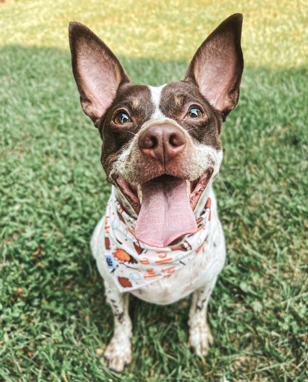 I’m A Hot Mess - Bandana