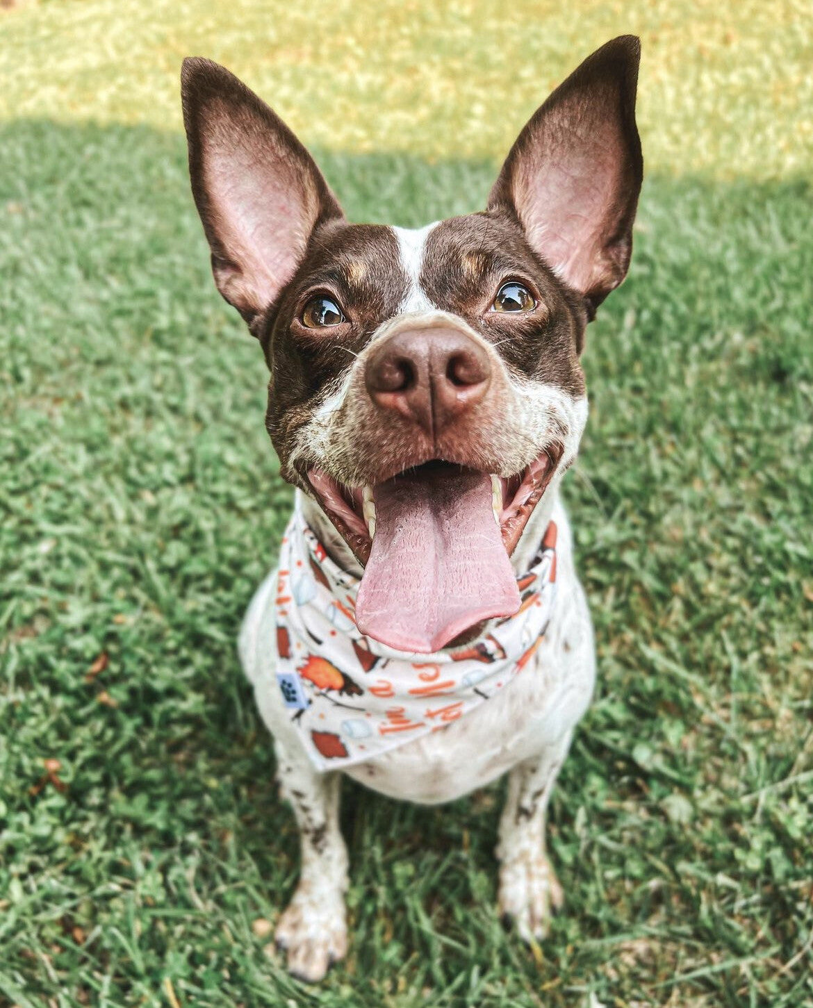 I’m A Hot Mess - Bandana