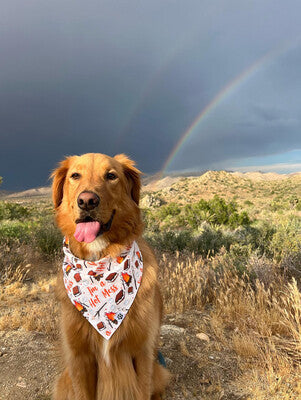 I’m A Hot Mess - Bandana