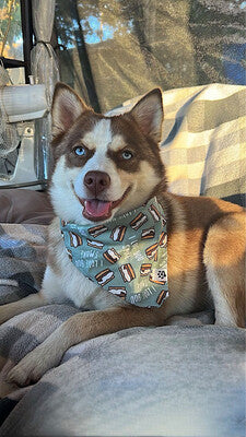 I Love You S’mores - bandana