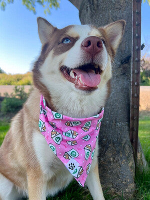 Pink Pup Cup - Bandana