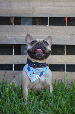 Patriotic Dinos - Reversible