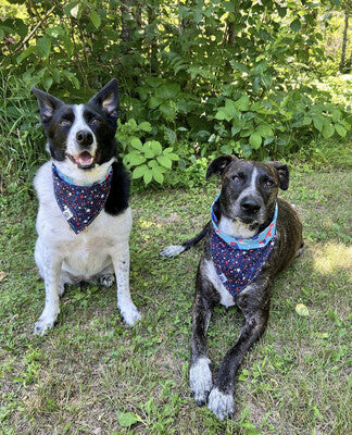 Patriotic Dinos - Reversible