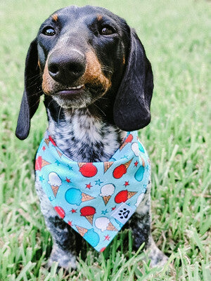 Patriotic Ice Cream - Reversible