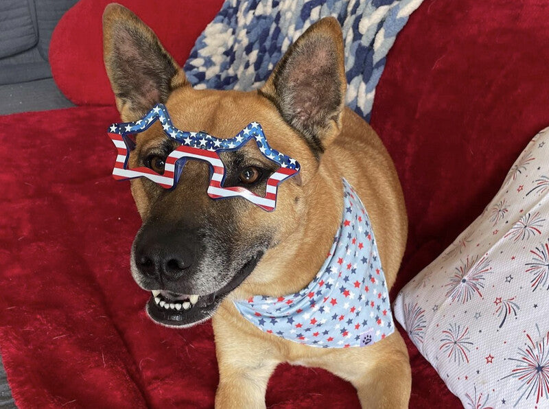 Patriotic Donuts & Stars | Bandana - Reversible