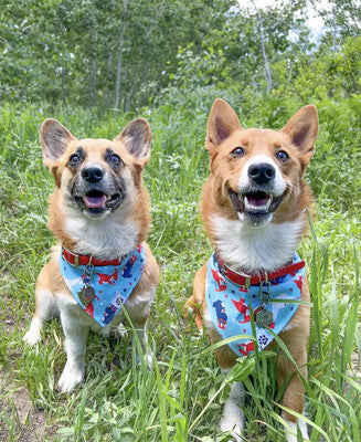 Patriotic Dinos - Reversible