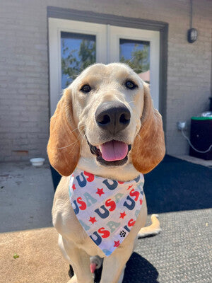 USA Reversible - Bandana