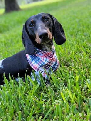 USA Reversible - Bandana