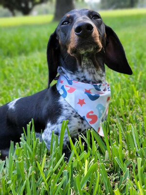 USA Reversible - Bandana