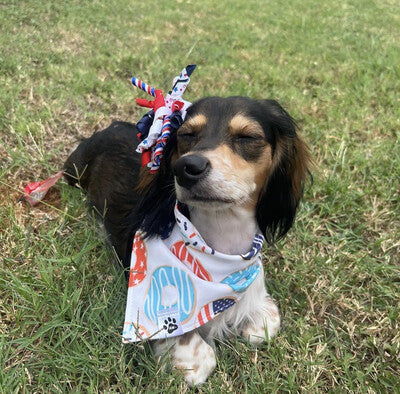 Patriotic Donuts & Stars | Bandana - Reversible