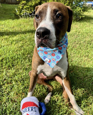 Patriotic Donuts & Stars | Bandana - Reversible