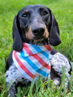 Patriotic Ice Cream - Reversible