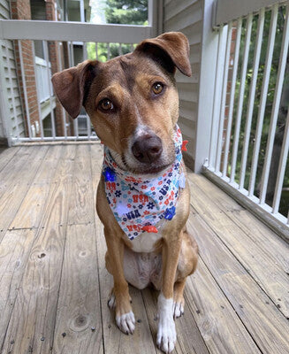 USA Floral - Bandana
