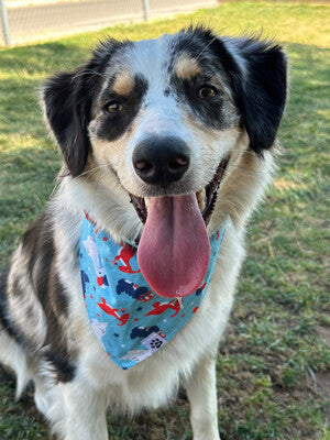 Patriotic Dinos - Reversible