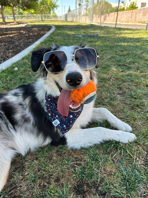 Patriotic Dinos - Reversible